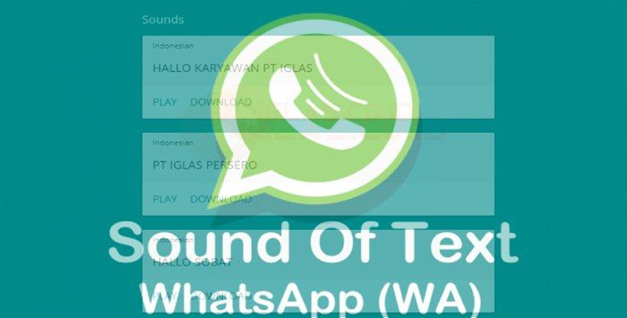 Cara Menggunakan Sound of Text WA dengan Mudah_Keuntungan Menggunakan Sound of Text