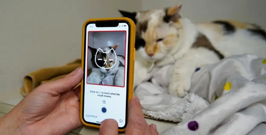 Aplikasi pendeteksi kesehatan kucing